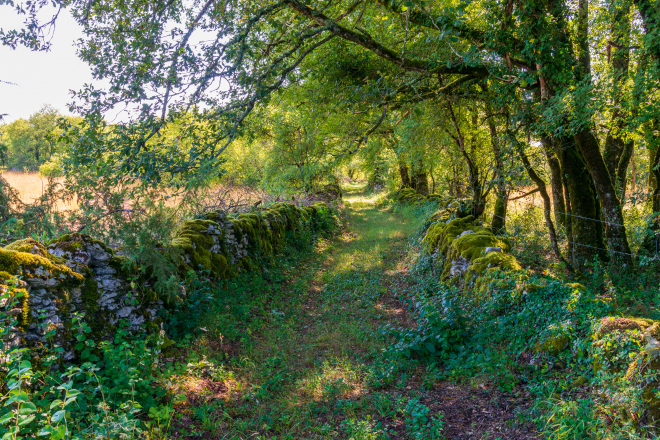 Chemin de balade