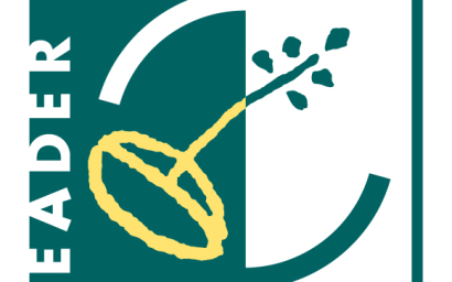 LEADER - LOGO